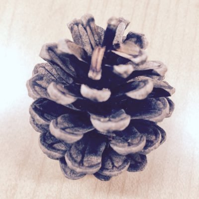 papillon0328's profile picture. 三島3年 元器械体操部副部長！！ 垢変→@kayano0219