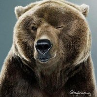 Bagnariol Andrea (@andbagfvg) 's Twitter Profile