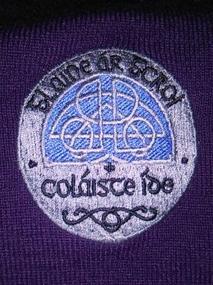 Coláiste Íde