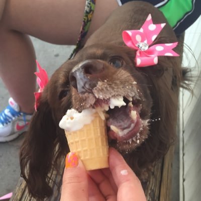 Lawson_Kort's profile picture. 