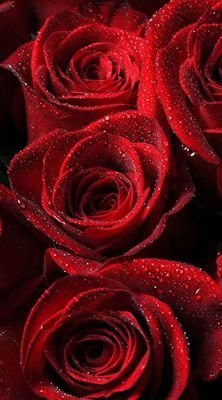 Kitap🌺müzik🌷şiir #Fenbilimleriöğretmeni 💍👨👩👦👦 #okumaetkinliği #şifaşiirde
https://t.co/EYW1fZlJvi https://t.co/AQXRvBfBru