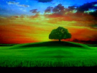 AbdirahmanSaci3's profile picture. 