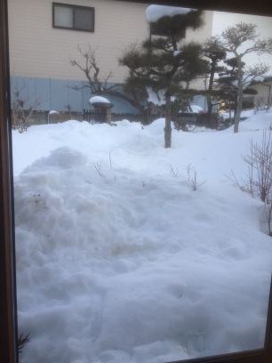 hiroshi9's profile picture. 