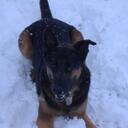 Mike Struckman - @tubby131313 - Twitter