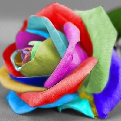 amr_hossam12's profile picture. 