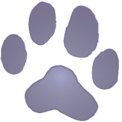 basd_jmoran's profile picture. 