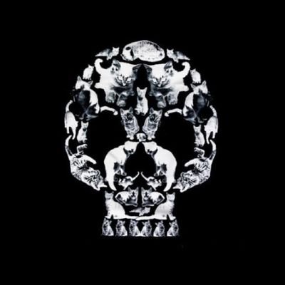 beautifulgecko's profile picture. 