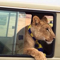nawaf (@mtemnsr) 's Twitter Profile