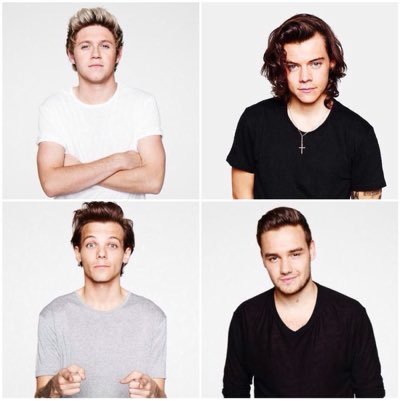 LouisaAdams1D's profile picture. 0/4 - met the boys Cardiff Millennium Stadium 2015