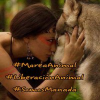 Marea Animal (@iselkuumanimal) 's Twitter Profile
