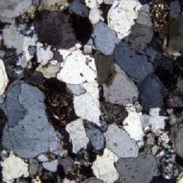 MurcDusen's profile picture. 