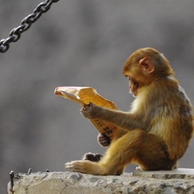 TimXie4's profile picture. 