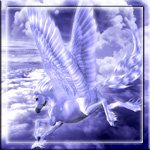 groomdeckbetbi2's profile picture. #rufollowback #ЗаFollowМеня