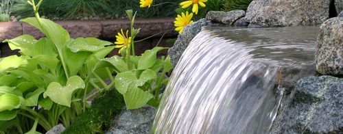 It takes Vision, Passion, and Experience to create a water feature.