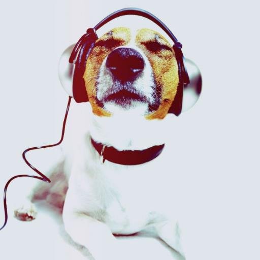 ModernMusicStudio303さんのプロフィール画像