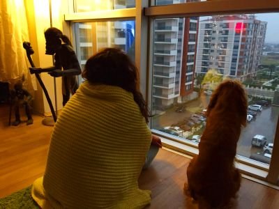 SedaSedayildiz9's profile picture. Önce İnsan