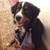 Ben Finkenbinder (@finkenbinder) Twitter profile photo Ben Finkenbinder (@finkenbinder) Twitter profile photo