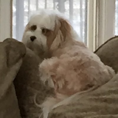 ellenamarnek's profile picture. 