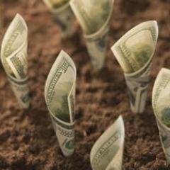 Grupo free en Telegram y Twitter. Muchas ganas de verdes. Síguenos: https://t.co/6ITPtAWavk…