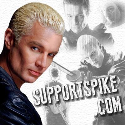 SupportSpike Profile Picture