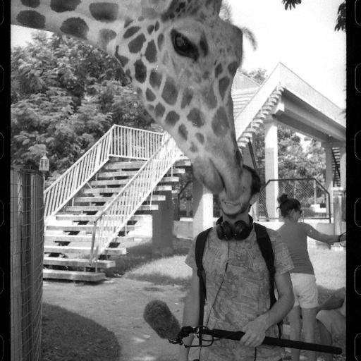 PmekYllib's profile picture. https://t.co/H0ITjyi7EN