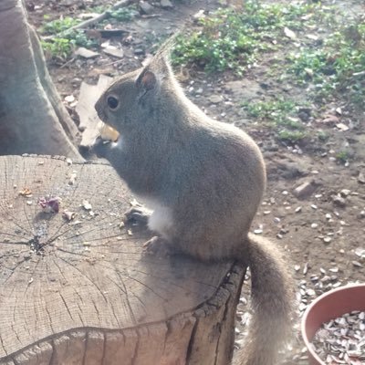 ちなみんさんのプロフィール画像