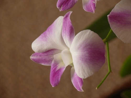 tulande's profile picture. 