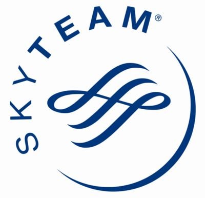 FlyvSkyteam's profile picture. 