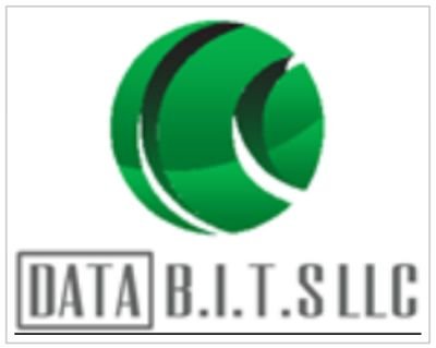 Mission Statement:
Data BITS, LLC specializes in Database Management. We build simple and efficient databases by working closely with company stakeholders.