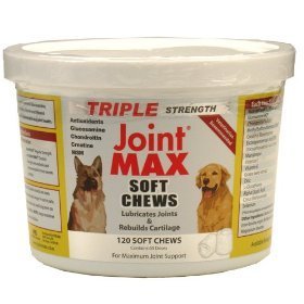 jointmax's profile picture. 