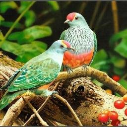 randeepsingh961's profile picture. 