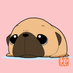 パグびいき~PUGBIIKI~@パググッズ専門店 (@pug_biiki) Twitter profile photo パグびいき~PUGBIIKI~@パググッズ専門店 (@pug_biiki) Twitter profile photo