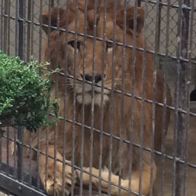 dhec3fq's profile picture. ああああ