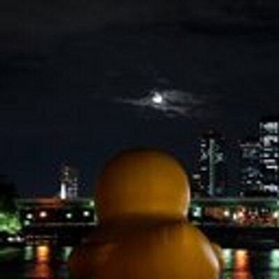 ぜんこう ひと仕事片付けに参るなぁぅ