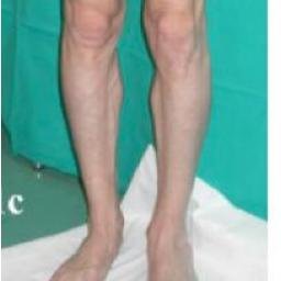 PetesTinyCalves's profile picture. Mostly gruntled.
Constantly giggling.
High-quality individual.