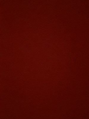 Turt29's profile picture. 