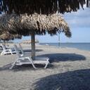 Gail Bird - @gmbird2 - Twitter