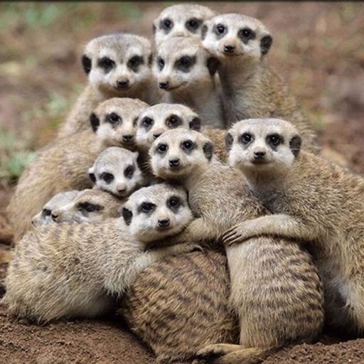 SiteSeeHotels's profile picture. 