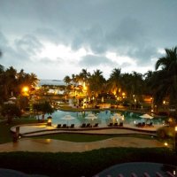 就是个数字 (@tang963852741) 's Twitter Profile