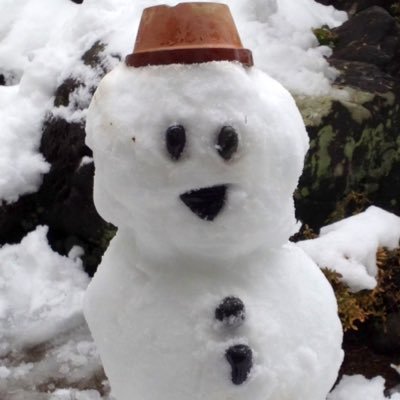 omakeninja's profile picture. 