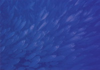 fishingwerks's profile picture. Fishing in Minnesota