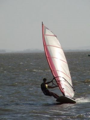 PatrizioBacci's profile picture. 