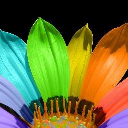 palapalapumpero's profile picture. 