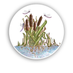 Water Leys Primary (@waterleys) Twitter profile photo Water Leys Primary (@waterleys) Twitter profile photo