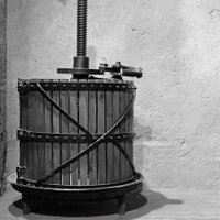 Wade Metzer (@wademetzer) 's Twitter Profile Photo