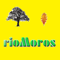 rioMoros Profile Picture