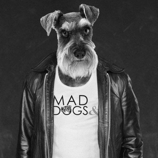 Mad dog & partners are a creative agency that specialises in luxury, fashion and entertainment. #woof #maddogsand #luxury #entertainment  #creative #agency