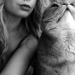 I love my cat called maddy, she is such a cutie! I also love hair, make up and fashion 3