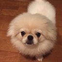 ナギ (@0517nagiko) Twitter