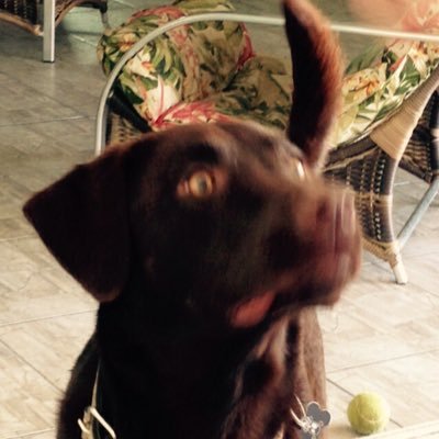 CarlosBaldeco's profile picture. Deus está acima de tudo...